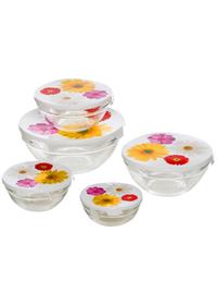 Set 5 contenitori Gerbere