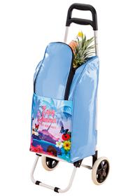 Carrello Spesa Termico