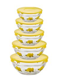 Set 5 contenitori Limoni