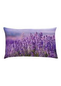 Federa Lavanda