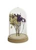 Decorazione con veri fiori secchi